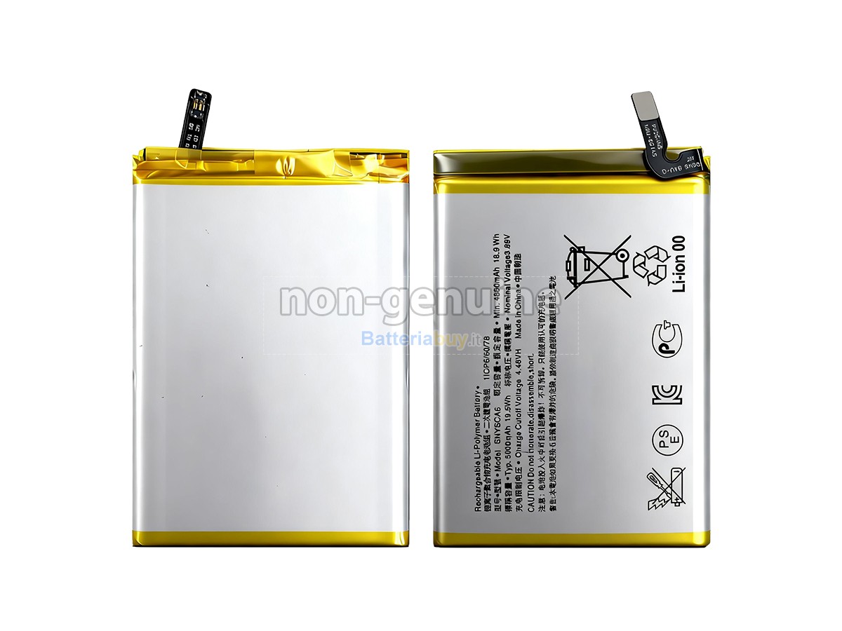Batteria per Sony SNYSCA6