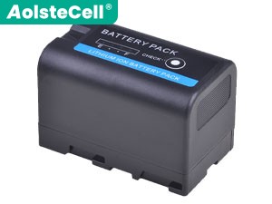 Batteria Sony BP-U30