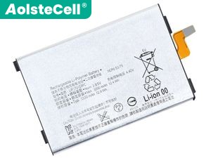 Batteria Sony 1315-7600