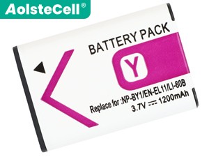 Batteria Sony HDR-AZ1