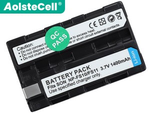 Batteria Sony NP-FS11