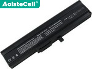 Batteria per Sony VGP-BPS5
