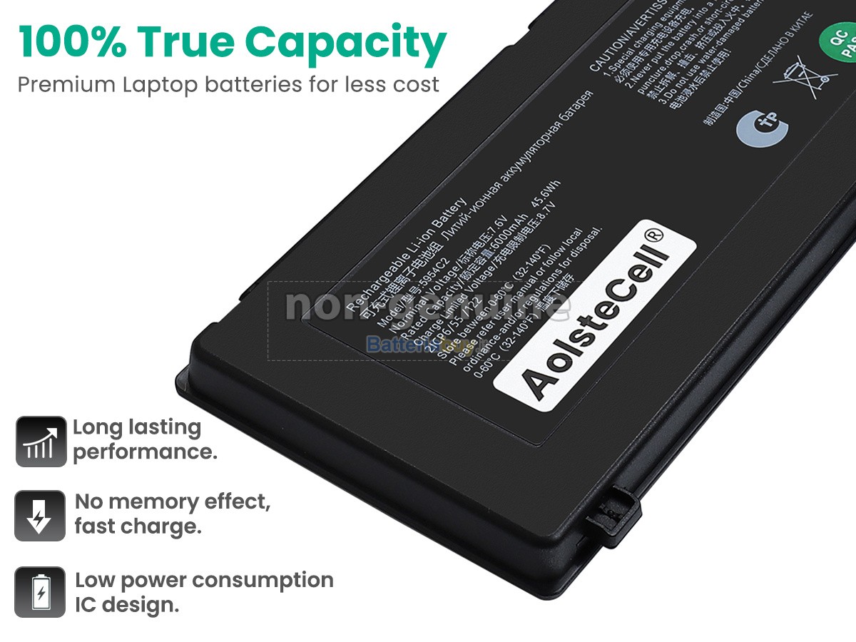 Batteria per Thunderobot 5954C2