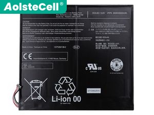 Batteria per Toshiba DynaPad WT12PE