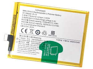 Batteria Vivo B-C9