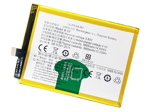 Batteria Vivo B-D2