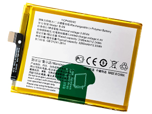 Batteria Vivo B-D9