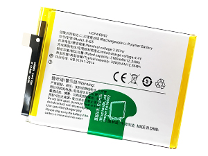 Batteria Vivo B-E5