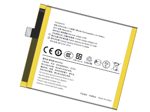 Batteria Vivo B-F6
