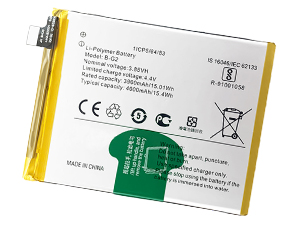 Batteria Vivo V15