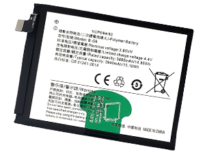 Batteria Vivo B-G6