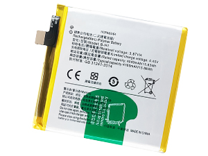 Batteria Vivo B-H1
