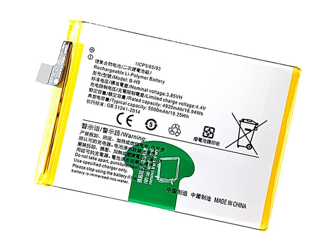 Batteria Vivo B-H9