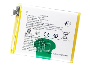 Batteria Vivo Y9s