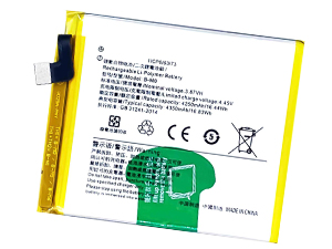 Batteria Vivo B-M0