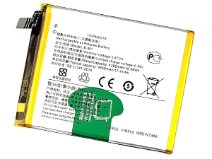 Batteria Vivo B-M1
