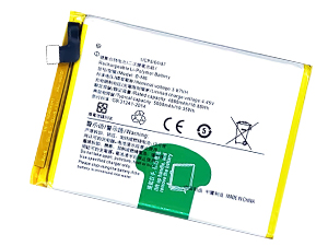 Batteria Vivo B-M6