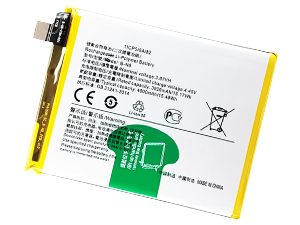 Batteria Vivo V20