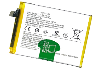 Batteria Vivo B-O1
