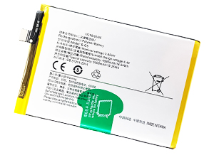 Batteria Vivo B-O5