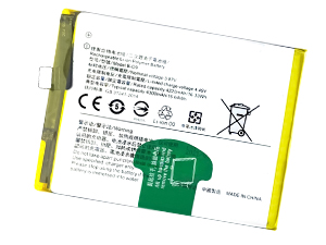 Batteria Vivo X60