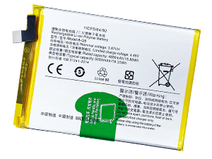Batteria Vivo B-Q8