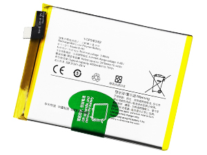 Batteria Vivo S10
