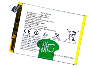 Batteria Vivo B-R5